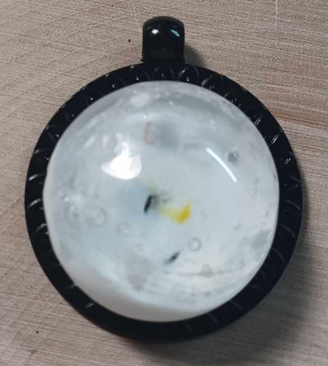 Black Sun Ray Backing Ash Pendant