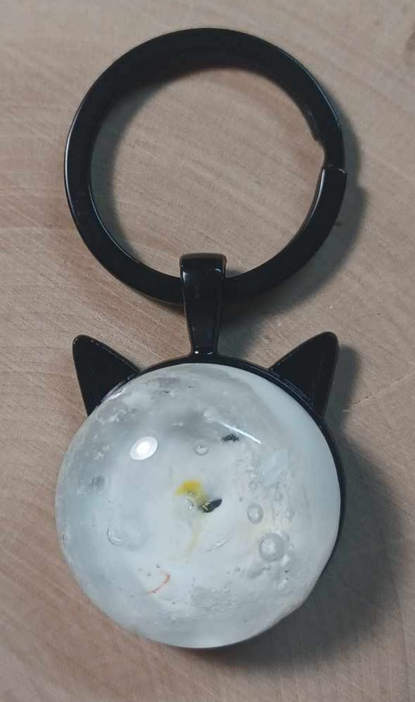 Black Cat Ash Keychain